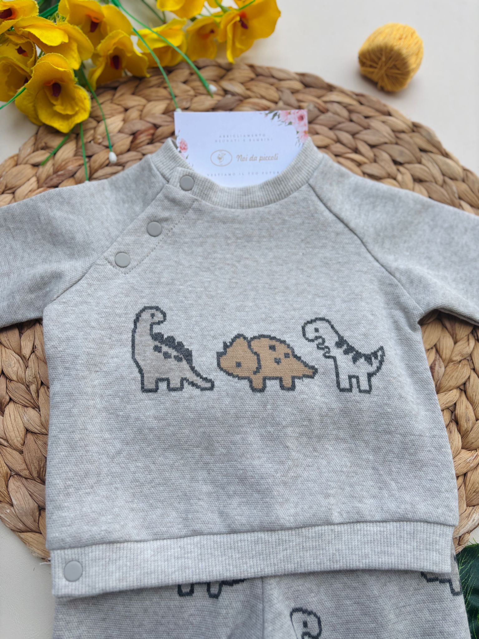 COMPLETO 2 PZ IN CALDO COTONE CON ELEFANTINI  Grigio