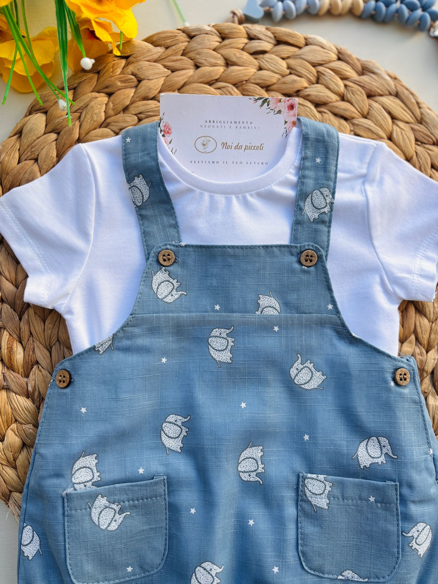 COMPLETO 2 PZ IN COTONE ELEFANTINI AVION - Noi da piccoli