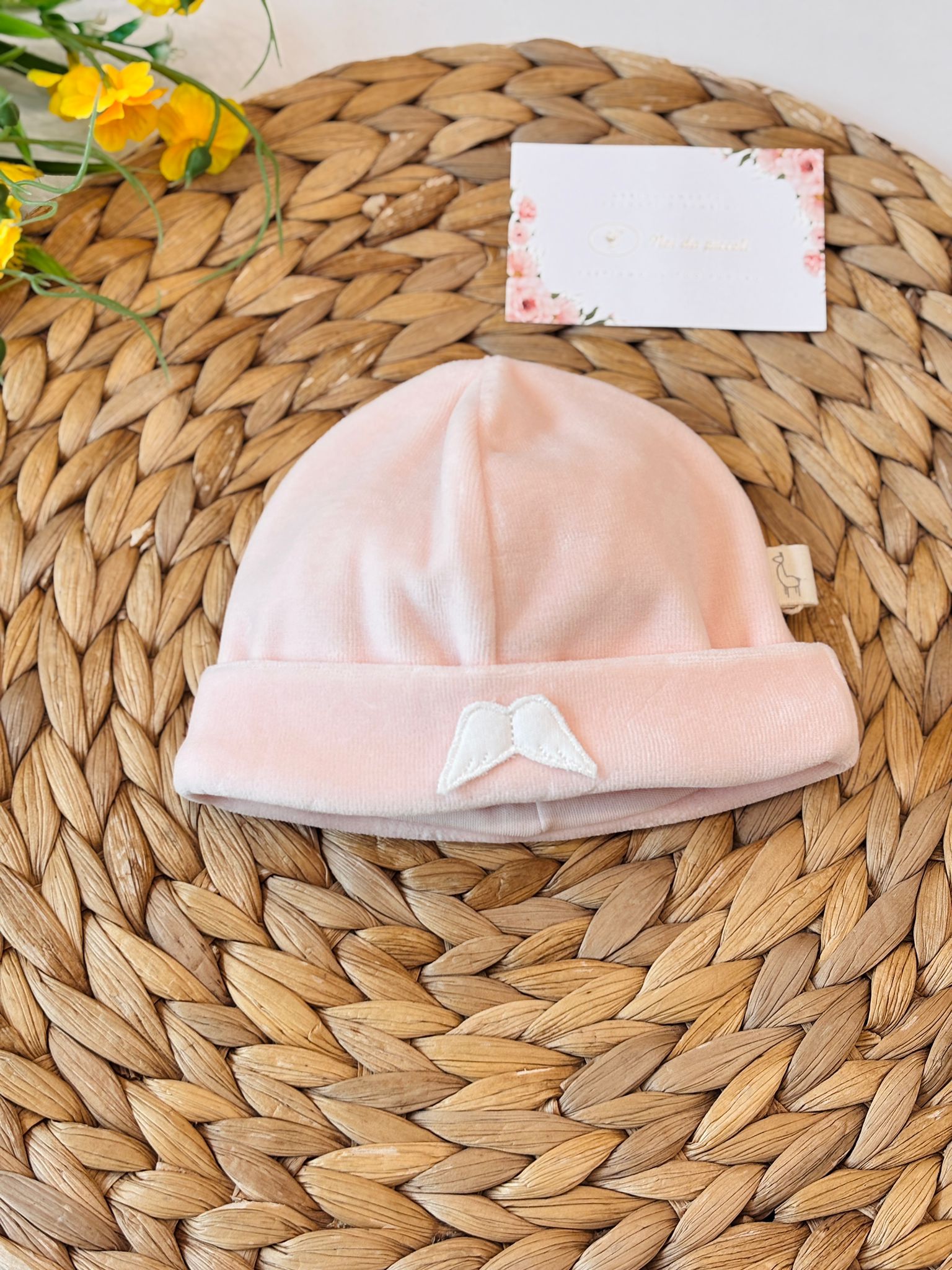 CAPPELLINO  CINIGLIA ROSA ANGIOLETTO